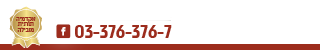 03-3763767